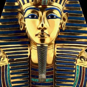 Meet your Posher, Darrin